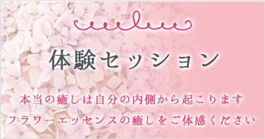 体験セッション