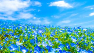 最適解がわからない(涙）確信を得たいときはセラトーに聴いてみる。